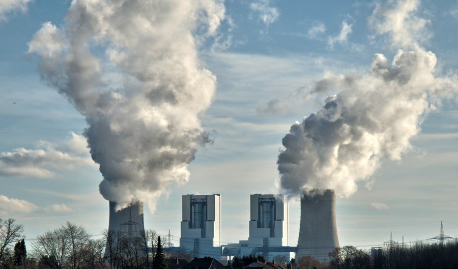 Liver Cleansing natural-health-sciences-arizona-liver-cleanse-chemical-plant