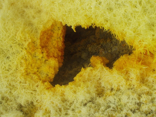 Liver Cleansing natural-health-sciences-arizona-liver-cleansing-sulfur